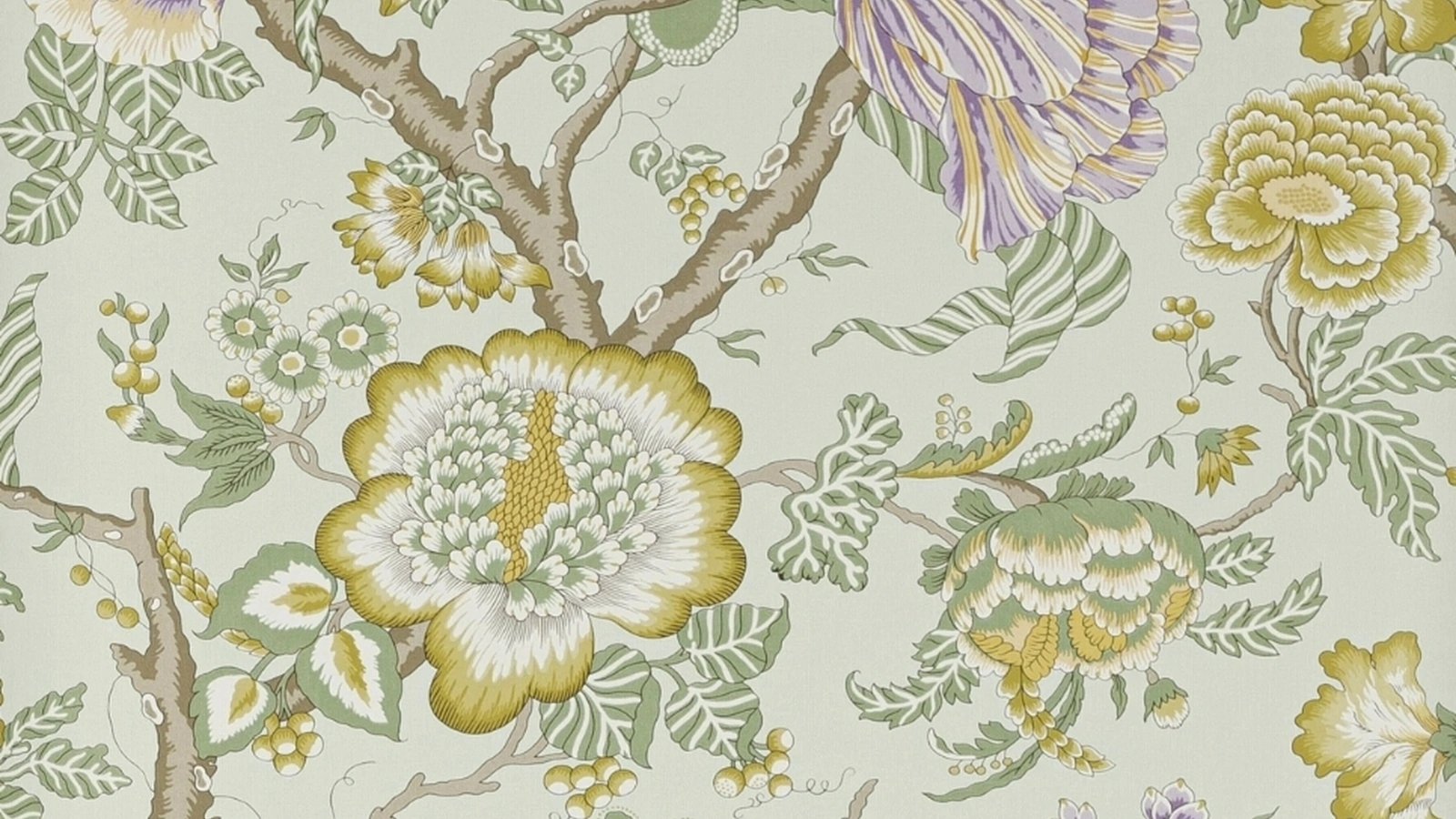 Carta da parati Brahmane Manuel Canovas