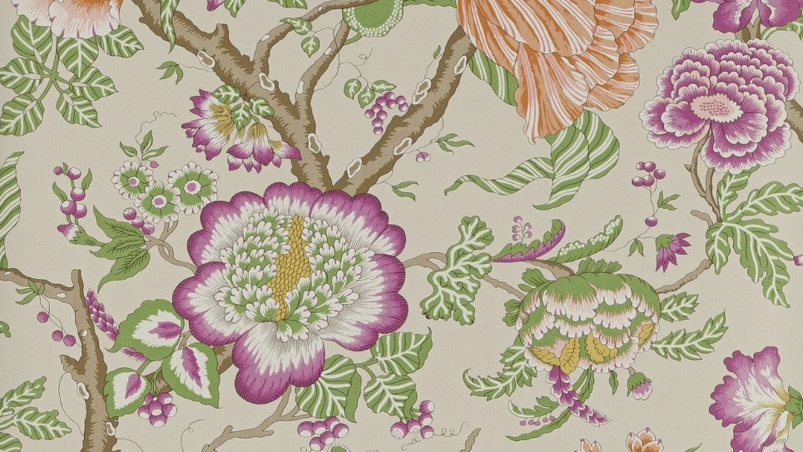 Carta da parati Brahmane Manuel Canovas