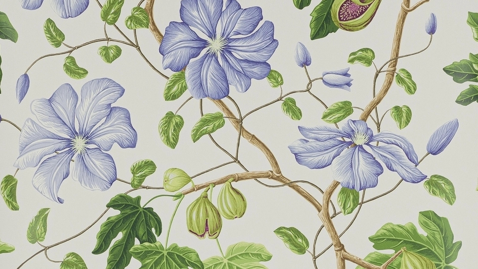 Carta da parati Castellane di Manuel Canovas