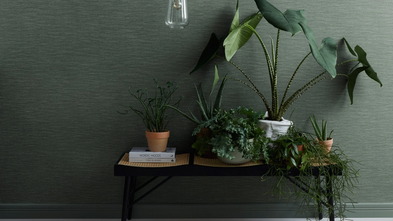 Carta da parati Kalahari Wallpaper di Christian Fischbacher