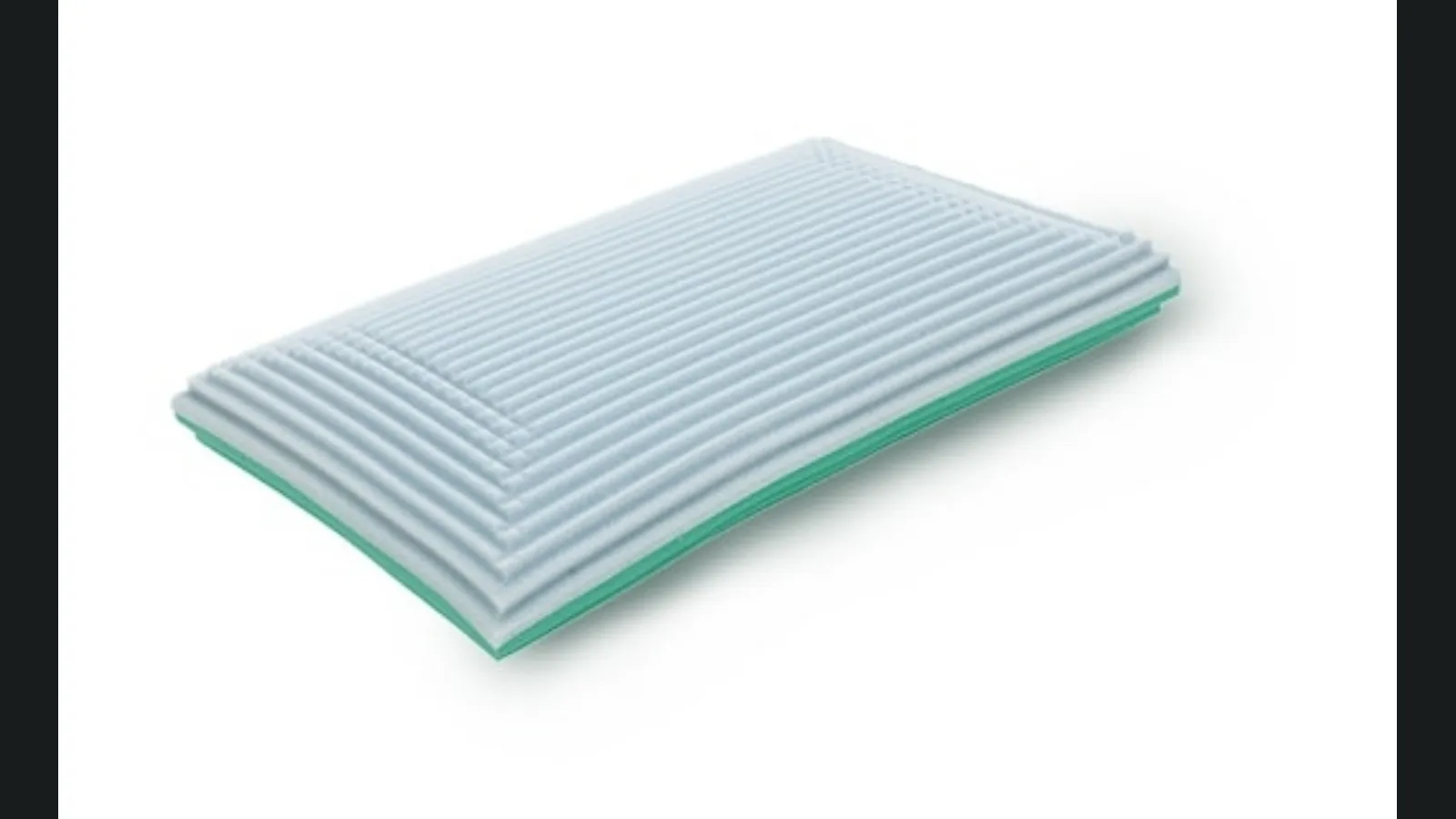 Guanciale Double di Dorsal