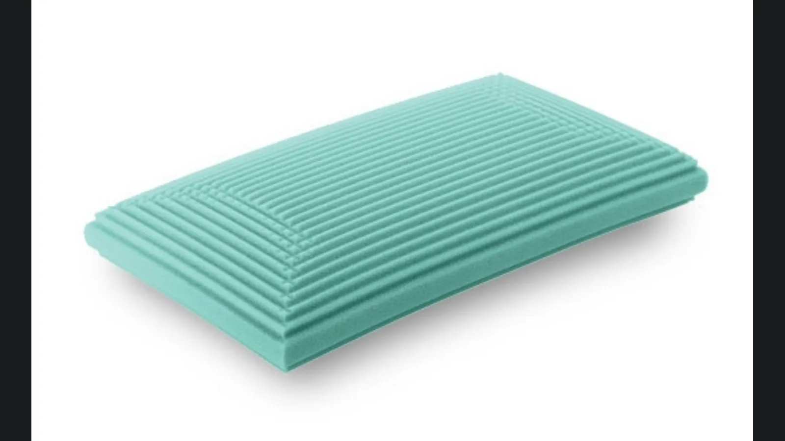 Guanciale Mousse Base di Dorsal