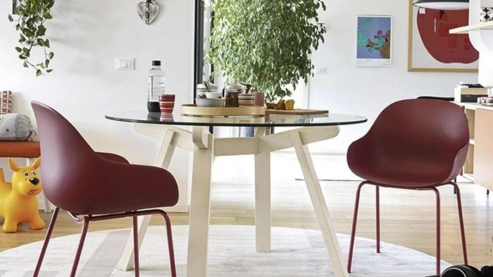 Sedia Academy in polipropilene con gambe in metallo MT di Sedie Brianza