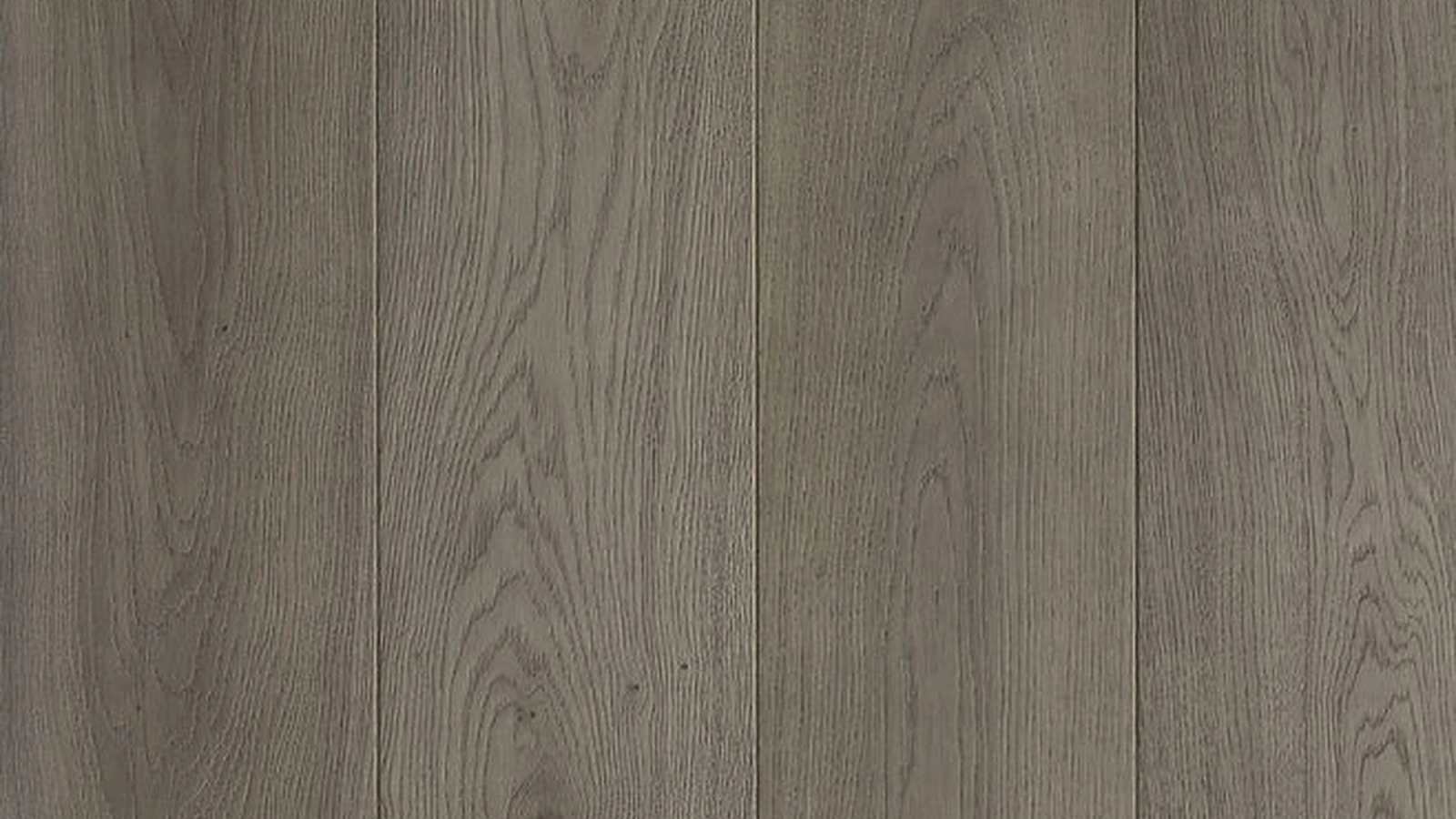 Parquet Floor Assiti Cenere in essenza rovere di Giacobazzi