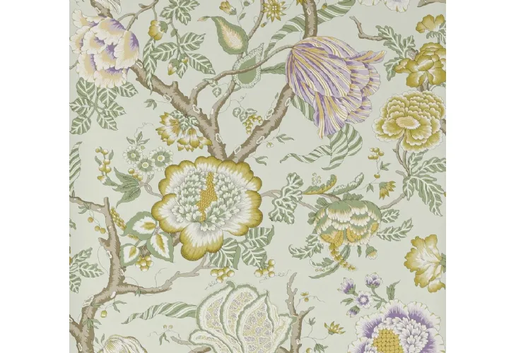 Carta da parati Brahmane Manuel Canovas