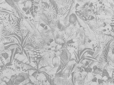 Kwazulu Wallpaper WP00066051