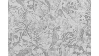 Kwazulu Wallpaper WP00066051
