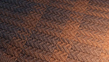 Land Sole