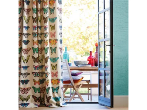 Papilio