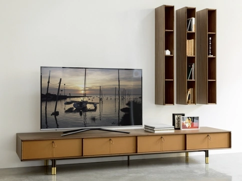 Bayus TV