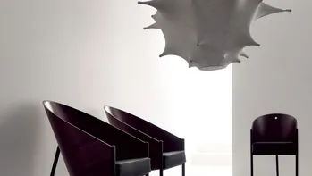 Elegante